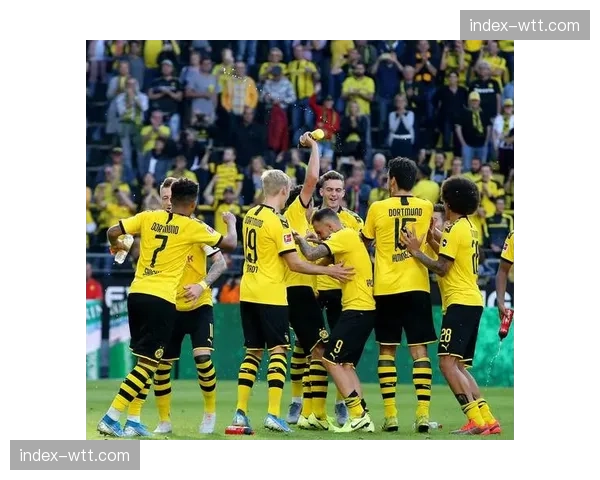 欧冠晋级后，多特蒙德主帅确认将轮换部分主力应对联赛